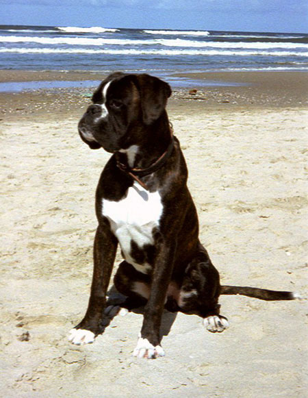 Ritter-Leopold von Felix