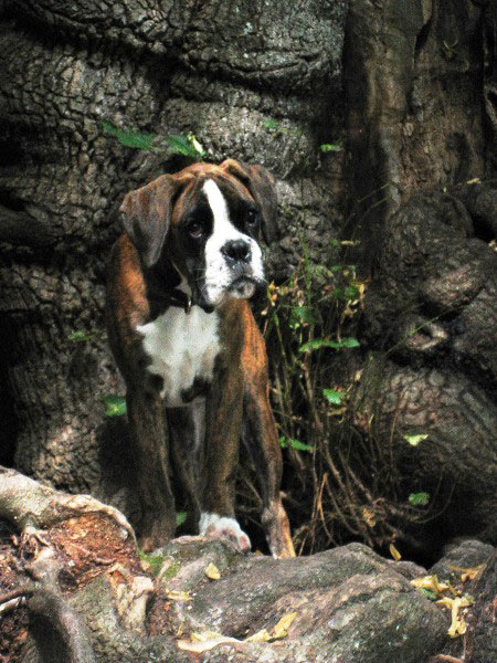 Wenzel von Felix, 4 Monate alt