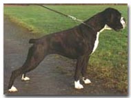 mehr �ber Henrike von Felix...